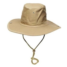 Буш Hat