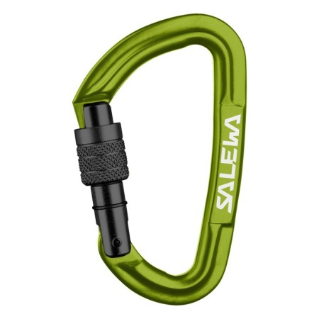 Карабин Salewa 'HOT G3'
