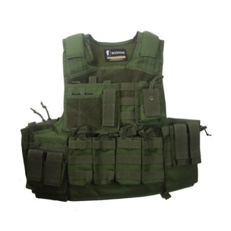 Shadow Gear SHS2 Assault plaadikandja vest oliiv