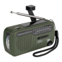 SW1/SW2/FM/AM green