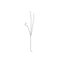 Side profile view of the steel leaf spring, highlighting the precise pre-bent tension curves of the prongs.