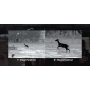 Thermal display view demonstrating the 1x to 6x digital zoom magnification levels.
