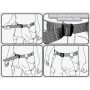  Coyote