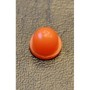 Dye/Proto Ball detent