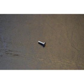 DYE Biard Mounting Screw