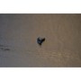 DYE Button Cover Screw 2nd Gen