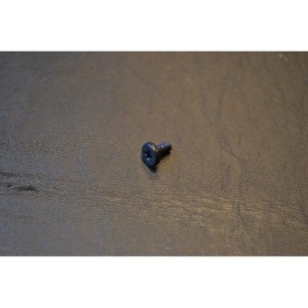 DYE Button Cover Screw 2nd Gen