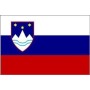 Флаг Словения
