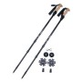 Trekking Poles
