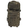 Backpack "Assault I", HDT camo green