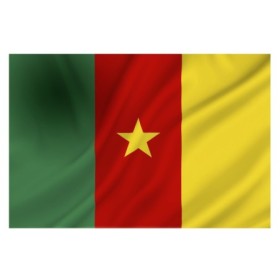 Камерун флаг