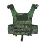  Plate Carrier Shadow Gear Spartan