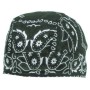  paisley-OD green